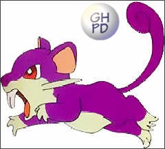 Rattata pokémon