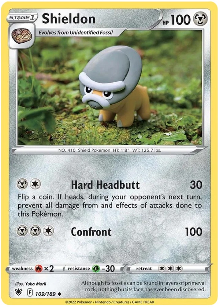 Shieldon