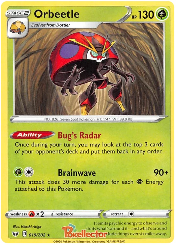 19 Orbeetle