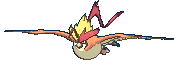 Pidgeot