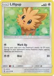 Lillipup 103/149