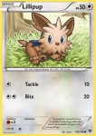 Lillipup
