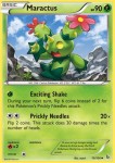 Maractus