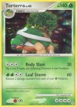 17 Torterra