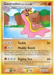 22 Gastrodon