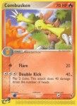 27 Combusken 27 Combusken