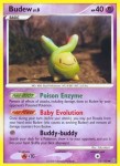 33 Budew