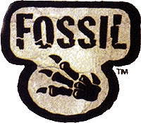 Pokemon TCG Fossil Set Logo