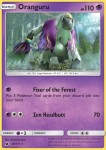 Oranguru 48/111