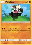 Pancham 72/145