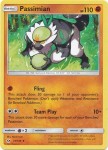 Passimian 73/149