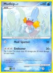 80 Mudkip 80 Mudkip