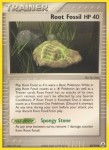 80 Root Fossil 80 Root Fossil