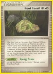 93 Root Fossil