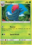 Accelgor 9/111