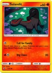 13 70 Salandit 13 70 Salandit