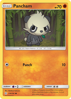 119 Pancham