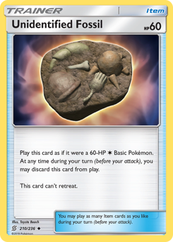 210 Unidentified Fossil