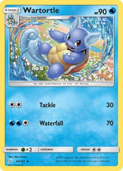 24 Wartortle