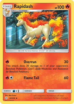 24 Rapidash