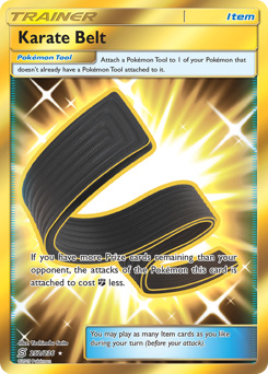 252 Karate Belt