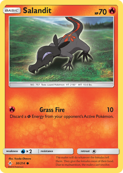 30 Salandit