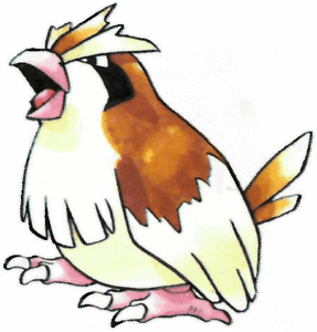 016Pidgey RG