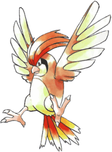 Pidgeotto