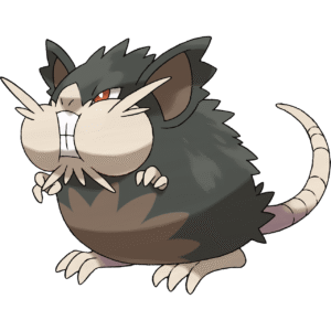 020Raticate Alola