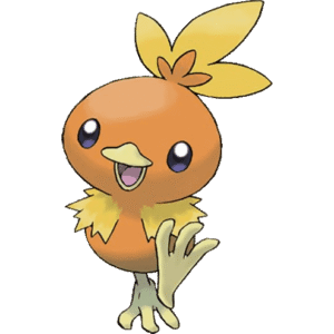 255Torchic E
