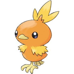 255Torchic RS
