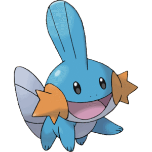 258Mudkip E
