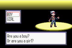 Pokémon Ruby screenshot
