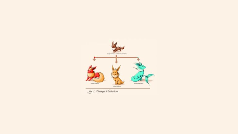 Eevee Evolution tree, scientific wallpaper