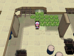 The Dreamyard, outside Striaton City.