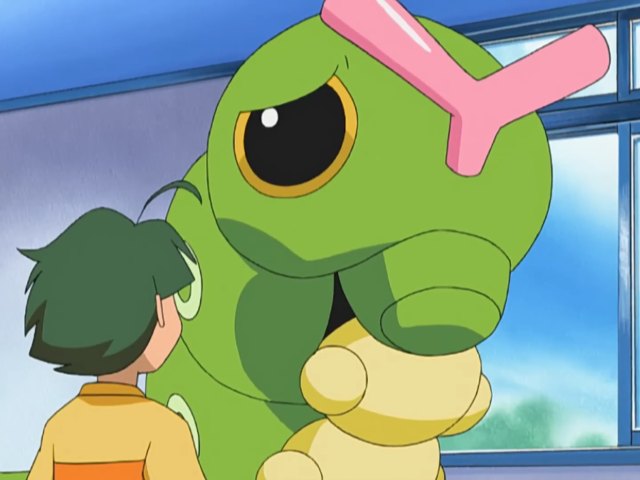Zander's Caterpie