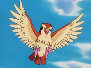 Casey's Pidgey