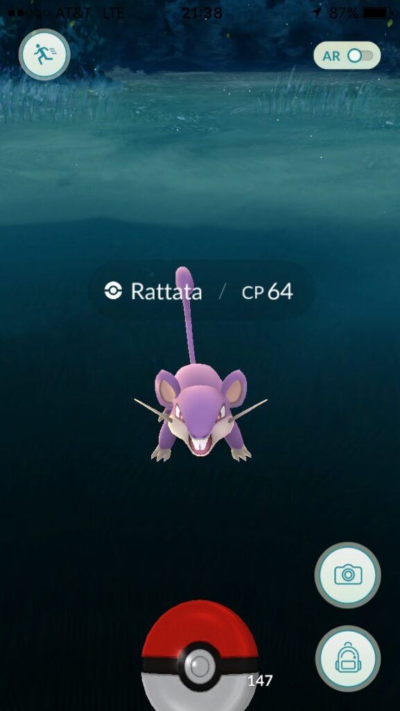 The catch screen