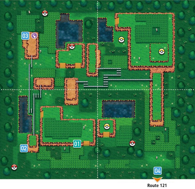 The Safari Zone