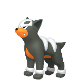 Houndour