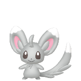 Minccino