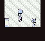 Pokémon Green screenshot
