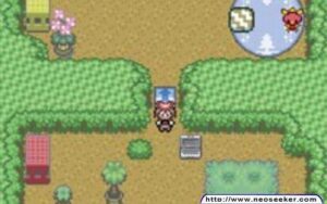 pokmon sapphire image10